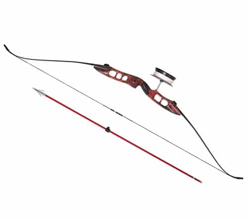 Best bow for bowfishing