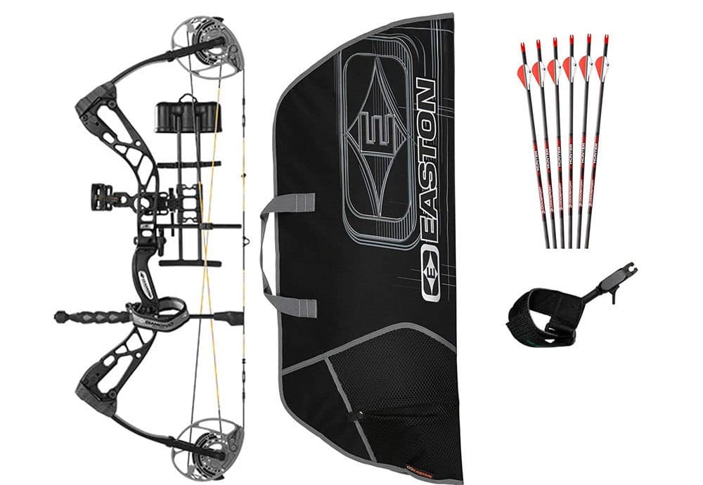 Best Compound Bow For Beginners