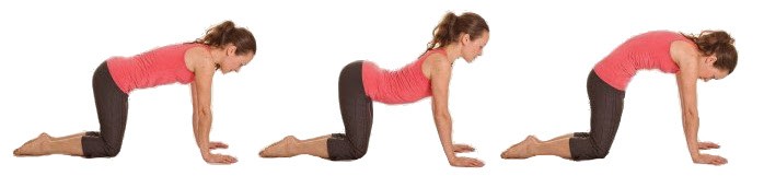 Core Strengthening and Flexibility
